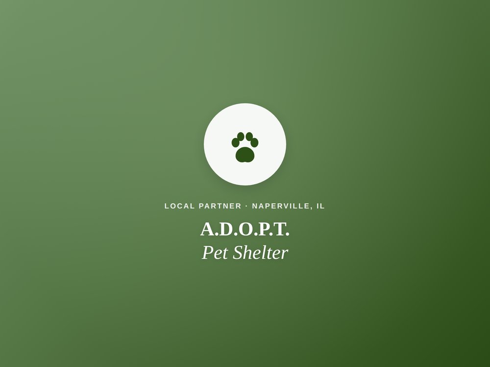 A.D.O.P.T. Pet Shelter