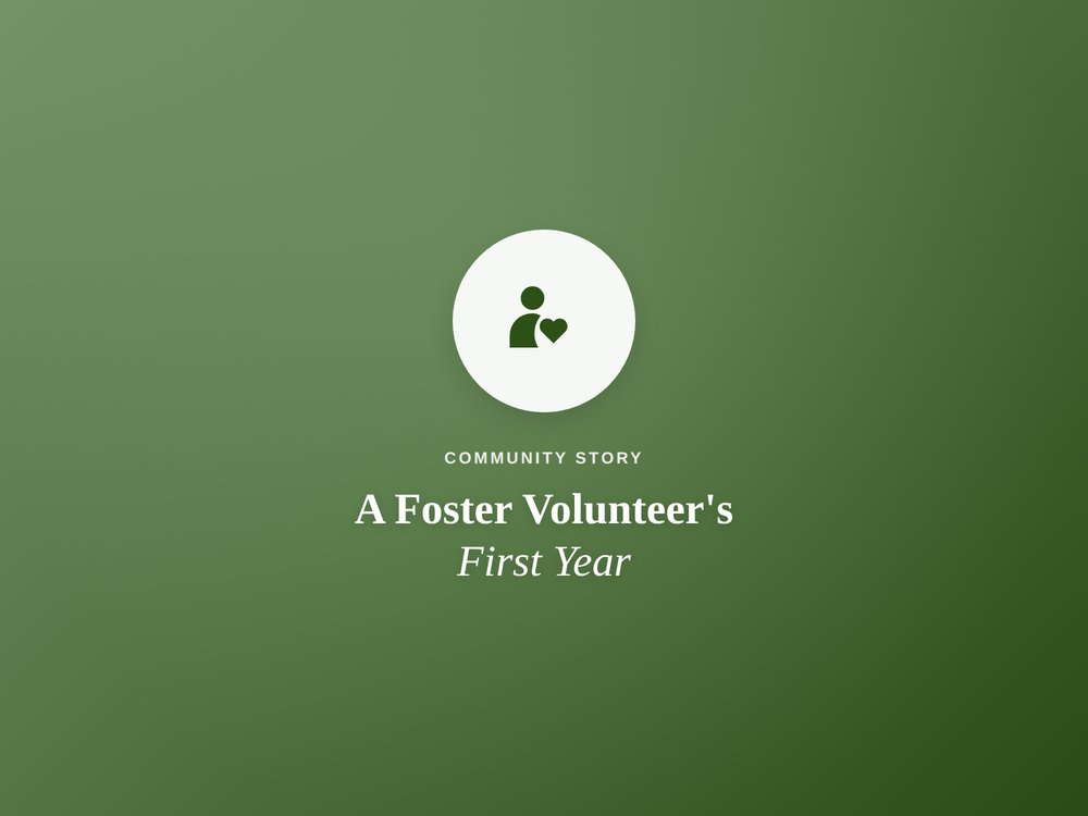 Volunteer story: a foster volunteer's first year